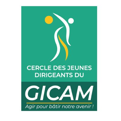 Cercle des Jeunes Dirigeants du GICAM