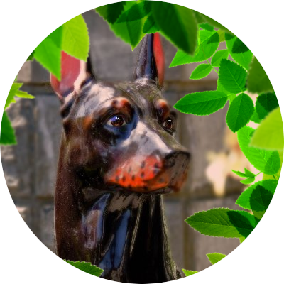 こま🌺🐶さんのプロフィール画像