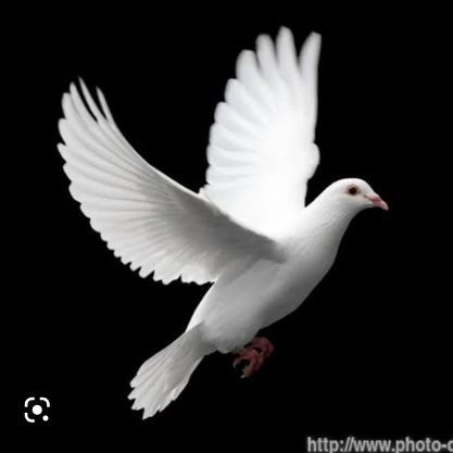 VictorNtuk20516's profile picture. 