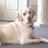 taylorman5904's profile image