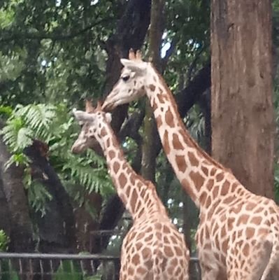 zera_x53's profile picture. Mencoba untuk menemukan apa yang baik dalam dirimu