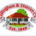 Collingham CC (@collinghamdcc) Twitter profile photo Collingham CC (@collinghamdcc) Twitter profile photo