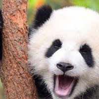 $/u+z (@alutzofcrazy) 's Twitter Profile