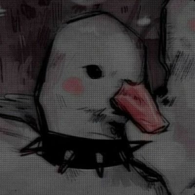 •duck• Profile