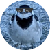 Timdaik (@timdaik) Twitter profile photo Timdaik (@timdaik) Twitter profile photo