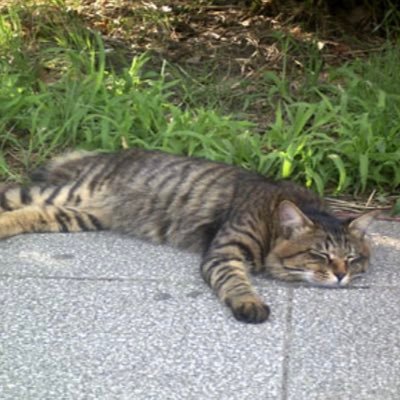 pKndYNFIp07238's profile picture. お絵描きかきかき