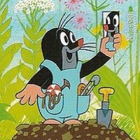 Maksim Nedbai (@krotek_inc) 's Twitter Profile