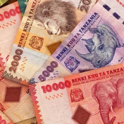 Bringing the latest finance news from Tanzania and Africa