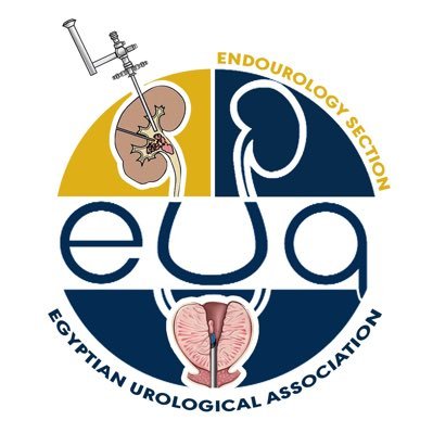 The official platform for the Endourology Section of the Egyptian Urological Association