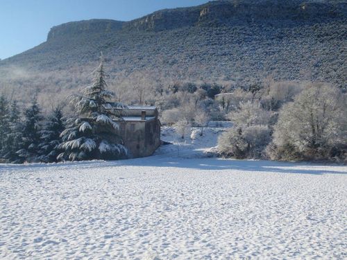 kardafred's profile picture. 