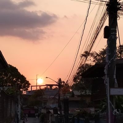 MLadagan's profile picture. 