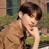 andi (@retroesbin) 's Twitter Profile