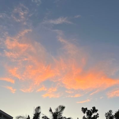 mightnotsayit's profile picture. 