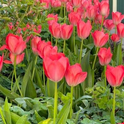 anne234's profile picture. Der ganz normale Wahnsinn Leben, denn irgendwas ist immer. neu: @heimbastelei