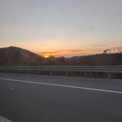 koch42786399730's profile picture. 