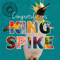 Spike King Penguin(@SpikeKingPeng) 's Twitter Profileg