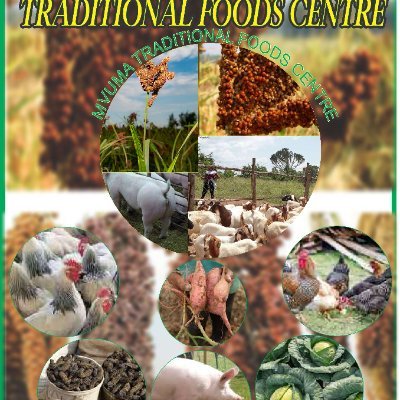 SALIMBI's profile picture. New farmer.Who is trying everyday to make ends meet by producing organic foods.