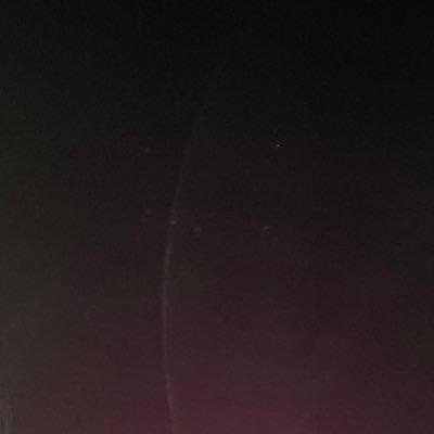 zombigurk's profile picture. 