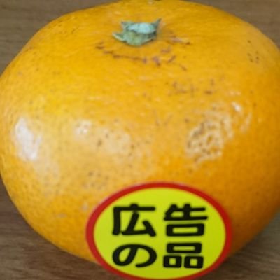 neruneruna7's profile picture. Rust好きの情報工学を学ぶB4学生   
IdeaxTech 運営
@IdeaxTech0214