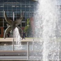 UL Counselling & Wellbeing Service (@ul_counselling) 's Twitter Profile Photo UL Counselling & Wellbeing Service (@ul_counselling) 's Twitter Profile Photo
