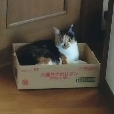 S660_CN9A_ikuy's profile picture. しれっと訪問失礼します🙂S660とランエボⅣ(御老体)あとN-ONEに乗っています。
格安スマホのカメラの限界に挑んでいます😇
何処かでお会いしましたらよろしくお願いします🤗