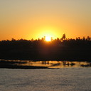 Michèle Dupré - @midupre - Twitter