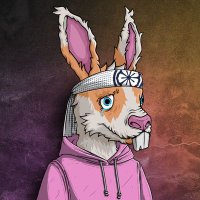 GrauxX🐍 (@seifergrauxx) 's Twitter Profile