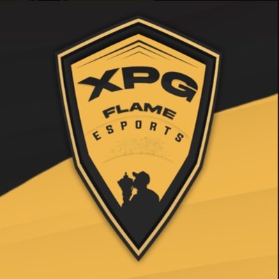 14 | XPG Academy Driver / Manager for XPG | Xbox