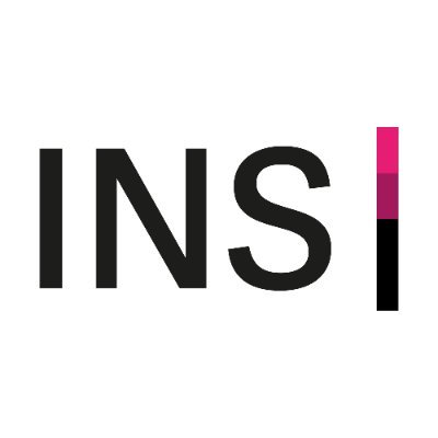 INS Institute for Network and Security