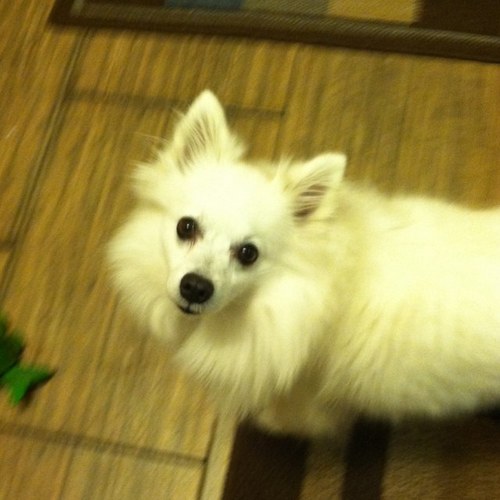 clark1754's profile picture. 