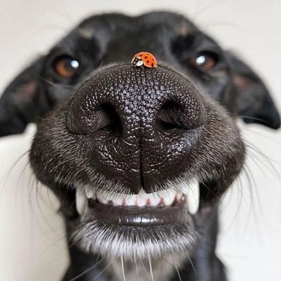 GeneralJamal27's profile picture. my views are my views,
feel free to disagree. 
a die hard #cule.