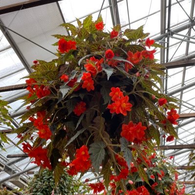 hinata_pink's profile picture. 30代後半✨弓状子宮/無排卵/卵管左狭のため体外1択🥺移植①❌②化学流産③④❌⑤稽留流産⑥❌⑦🧚不育症🥲1人目妊活中の方と繋がりたい💕❤️は応援、共感です🙌