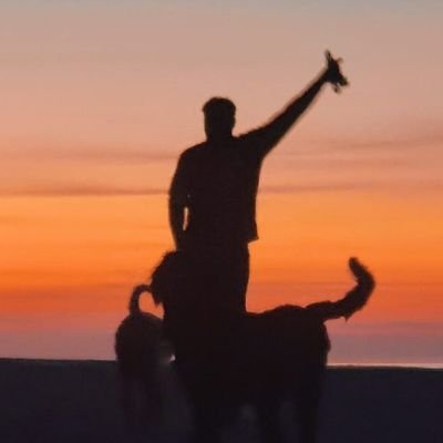 Broughiepoetry's profile picture.