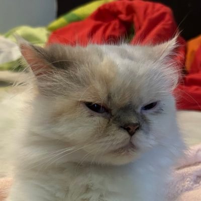 melodyfa's profile picture. 