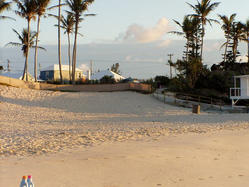 DarrellsTown's profile picture. 