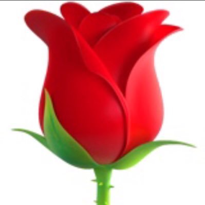 JavierS44015718's profile picture. 