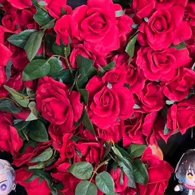 紫結さんのプロフィール画像