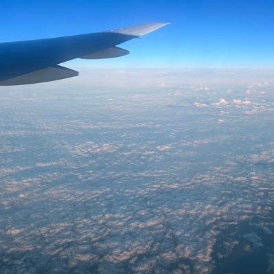 flyoverville's profile picture. 