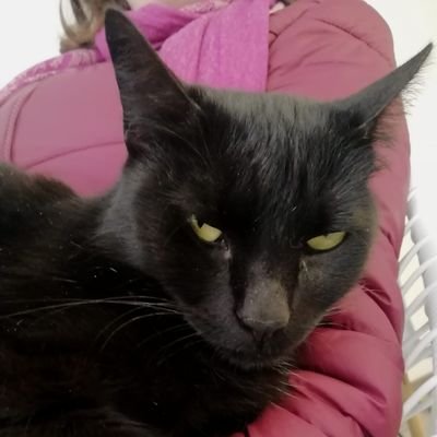 ARS9691726's profile picture. 