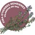 Fira d'Herbes Remeieres a Vilanova de Sau (@firaherbes) Twitter profile photo Fira d'Herbes Remeieres a Vilanova de Sau (@firaherbes) Twitter profile photo