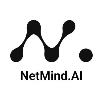 NetMind.AI Profile