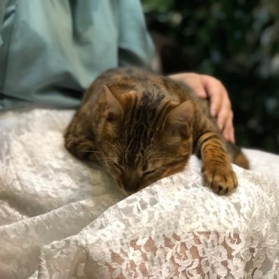 sakusaku070716's profile picture. saku@と書いてサクと読みます。演技は知識も技術もないけれど、楽しいってことは知ってます！ 一緒に楽しみませんか？ 出没は気まぐれ。コメントで騒ぎまくる奴です。物書きもぼちぼちしています→ https://t.co/1QadGESC8l