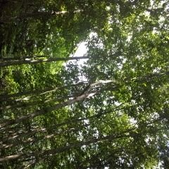 いままでありがとう!(´▽｀)