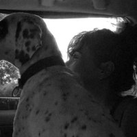 Sevinç (@sevincc666) 's Twitter Profile Photo