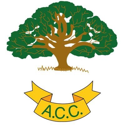 Allestree CC