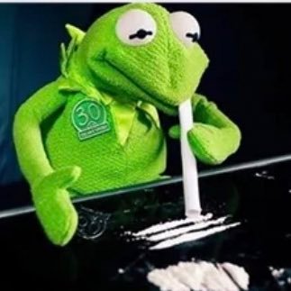 Kermit33659232's profile picture. 