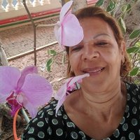Iara Rabello de Pinho (@rabelloiara) 's Twitter Profile