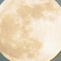 243Soong's profile picture. The creation of my own painting 16 years ago.