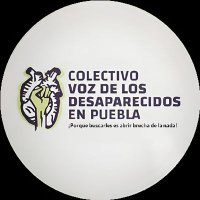 Voz de los Desaparecidos en Puebla(@VozdelosDesapa) 's Twitter Profile Photo