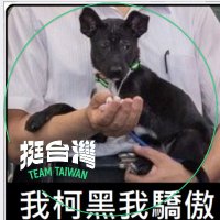 柯黑興業 Koa-o͘ heng-gia̍p stand with 🇺🇦🇮🇱(@antikpltd2) 's Twitter Profile Photo